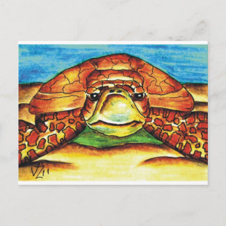 Sea Turtle Postcard