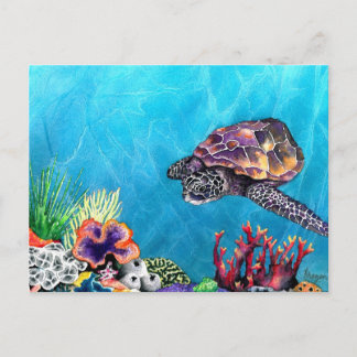 Sea Turtle Postcard