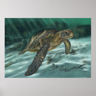 Sea Turtle Poster