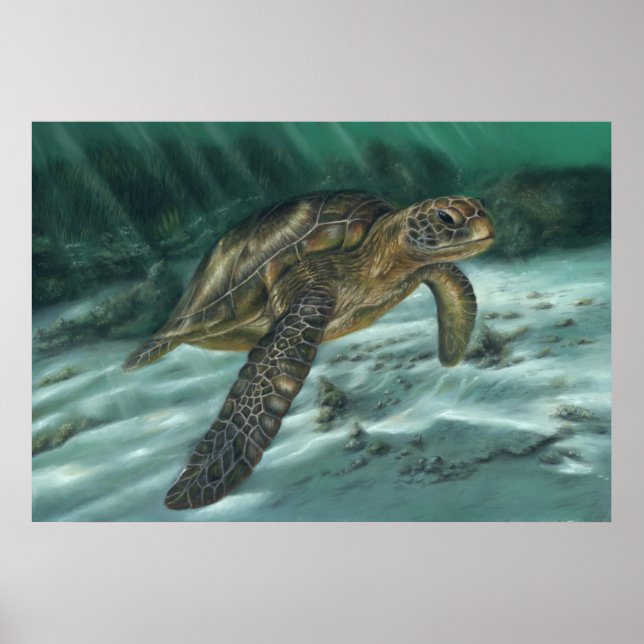 Sea Turtle Poster (Front)