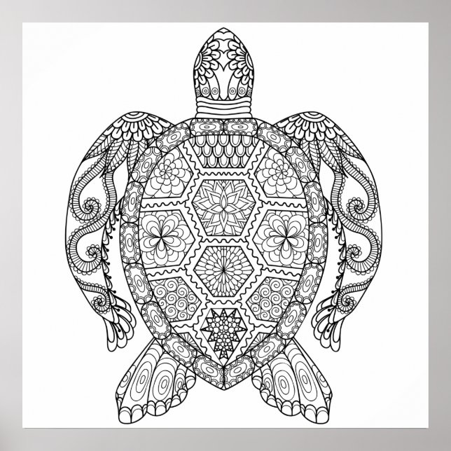 SEA TURTLE POSTER (Front)