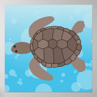 Sea Turtle Poster