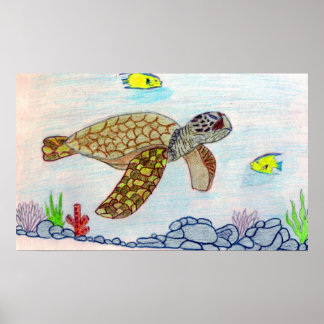 sea turtle poster