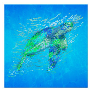 Sea Turtle Poster