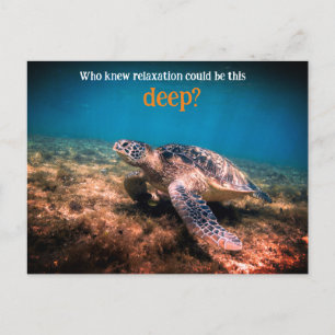 Sea turtle relaxing underwater holiday postcard