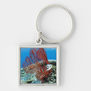 Sea turtle resting underwater 2 key ring