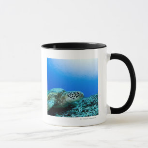 Sea turtle resting underwater mug