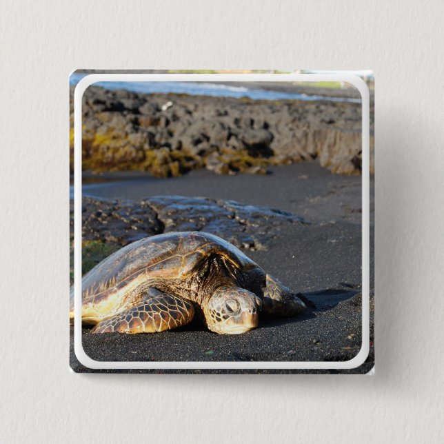 Sea Turtle Square Pin (Front)