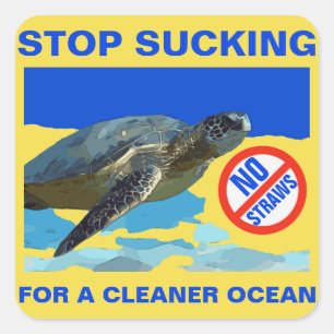 SEA TURTLE SQUARE STICKER