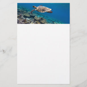 Sea turtle stationery