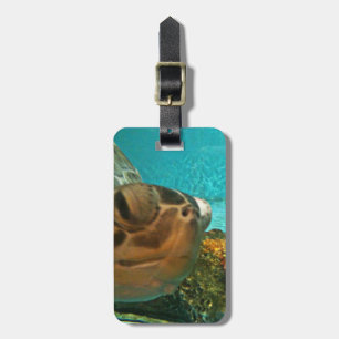 Sea Turtle Surprise Luggage Tag