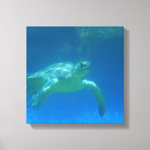 Sea Turtle Swim Canvas Print