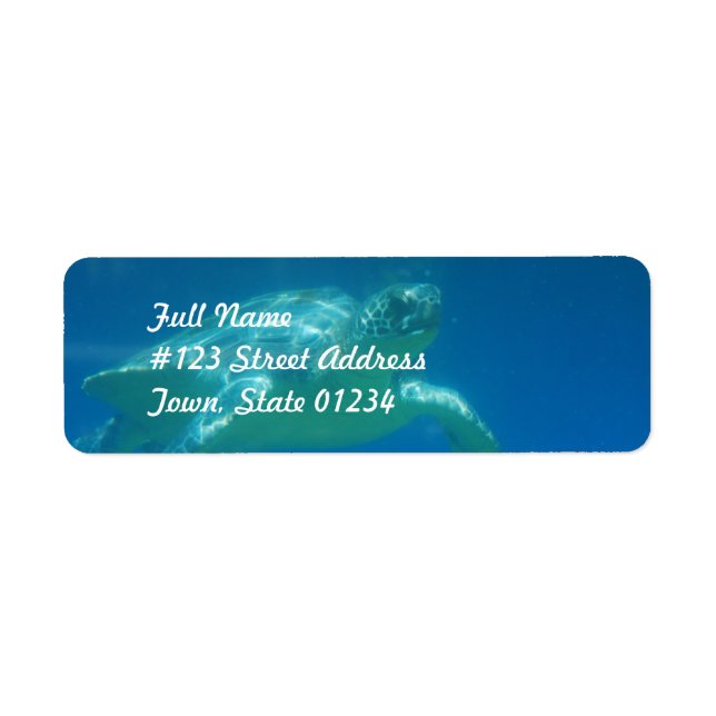 Sea Turtle Swim  Mailing Labels (Front)