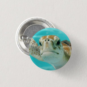 Sea Turtle Swimming in Turqouise Water 3 Cm Round Badge