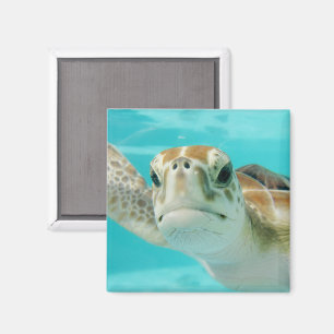 Sea Turtle Swimming in Turqouise Water Magnet