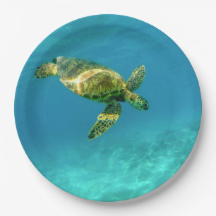 Sea Turtle swimming in turquoise ocean water Paper Plate