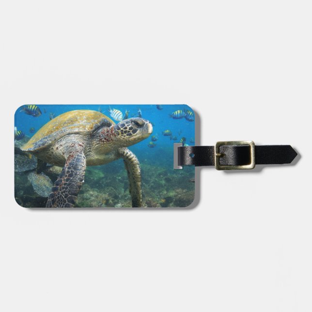 Sea turtle swimming underwater Galapagos paradise Luggage Tag (Front Horizontal)
