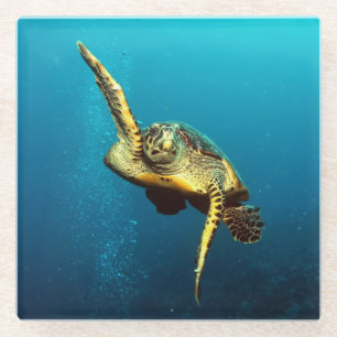 Sea Turtle Swimming Underwater Glass Coaster