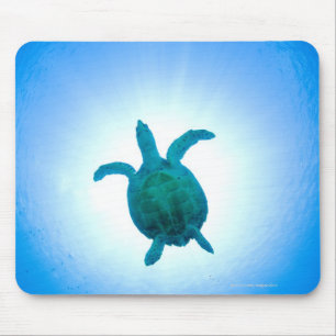 Sea turtle swimming underwater mouse mat