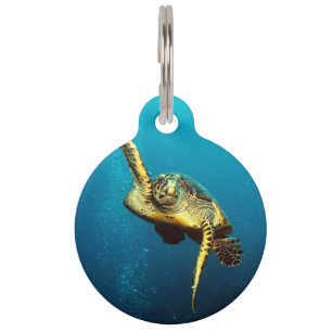 Sea Turtle Swimming Underwater Pet Tag