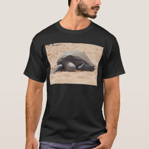 Sea turtle T-Shirt