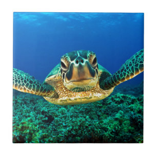 Sea Turtle Tile