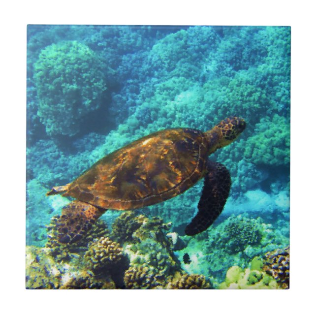 sea turtle tile (Front)