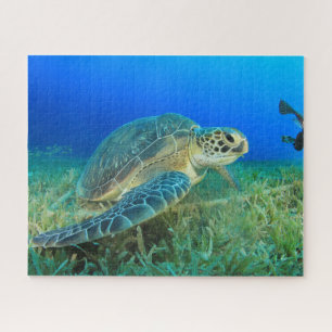 Sea Turtle Under Water  Jigsaw Puzzle