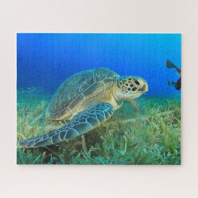 Sea Turtle Under Water  Jigsaw Puzzle (Horizontal)