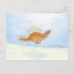 Sea Turtle under Water.  Postcard