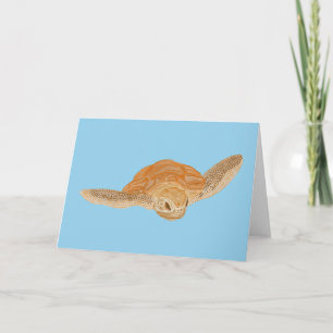 Sea Turtle under Water - transparent. Card