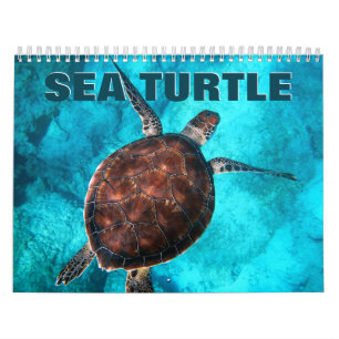 Sea Turtle Wall Calendar