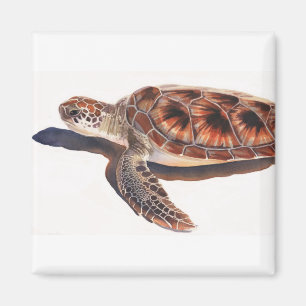 Sea Turtle Wildlife Watercolor Art Magnet