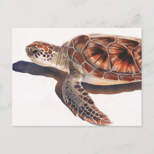 Sea Turtle Wildlife Watercolor Art Postcard