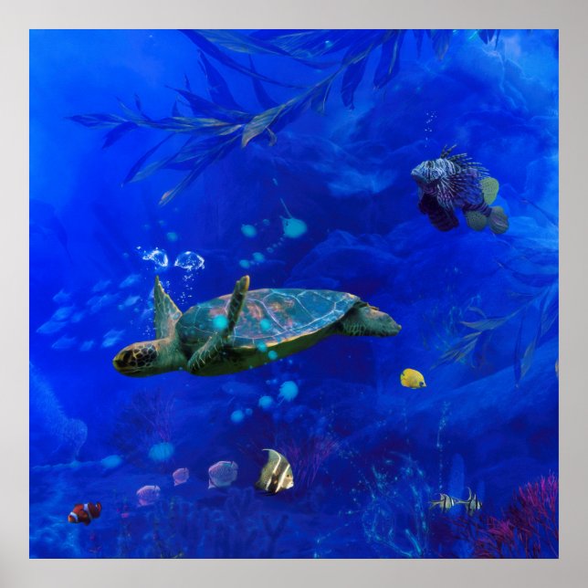 SEA TURTLE WIND ON THE WATER POSTER (Front)