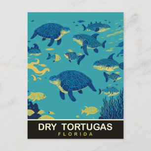 Sea Turtles at Dry Tortugas FL, Travel Postcard
