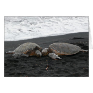 "SEA TURTLES" blank card
