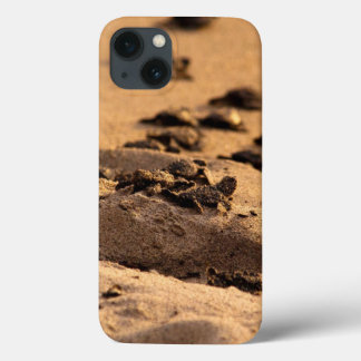 Sea Turtles iPhone 13 Case
