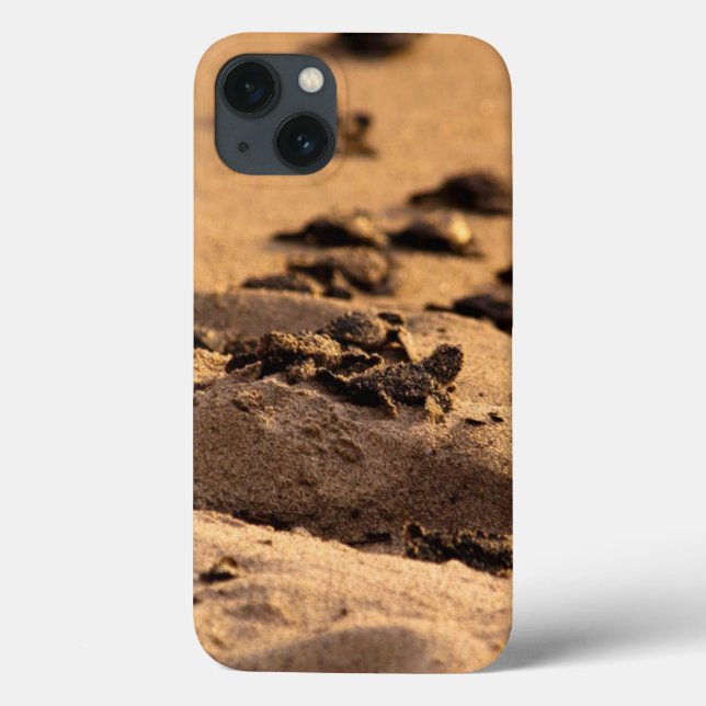 Sea Turtles Case-Mate iPhone Case (Back)