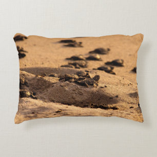Sea Turtles Decorative Cushion