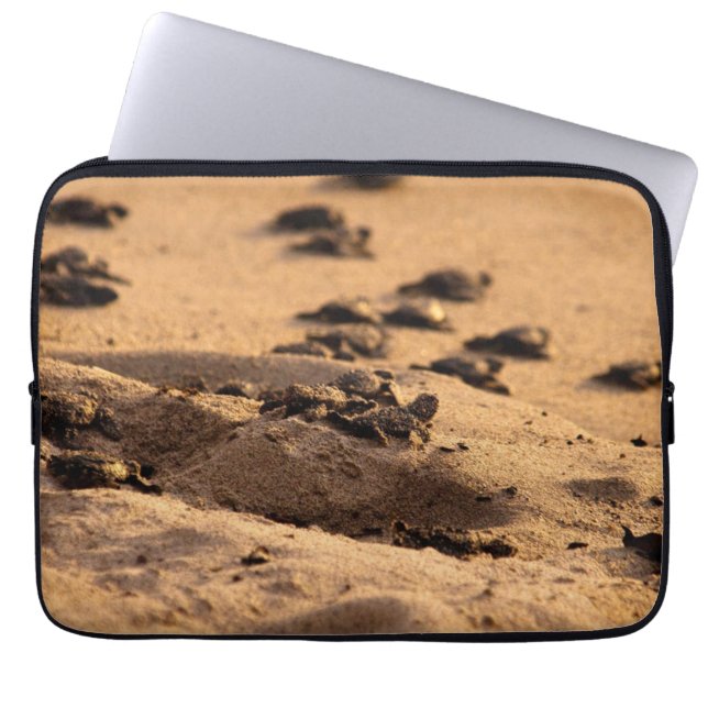 Sea Turtles Laptop Sleeve (Front)