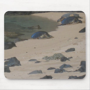 Sea turtles on Kaui's Na Pali coast mousepad