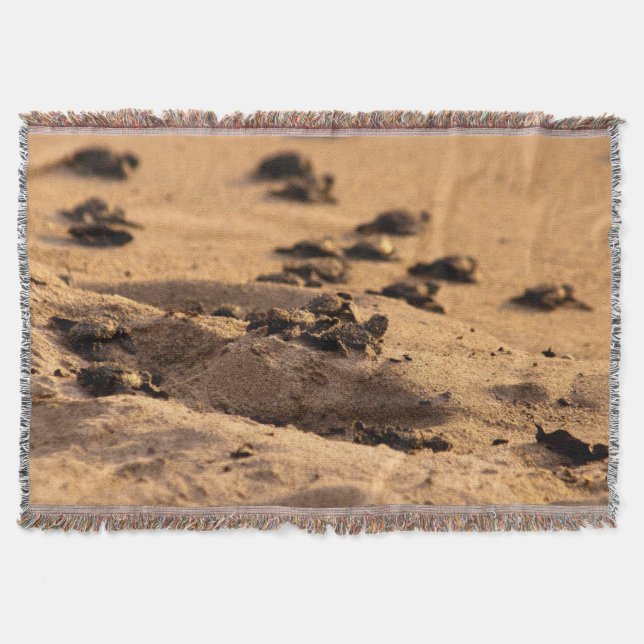 Sea Turtles Throw Blanket (Front)