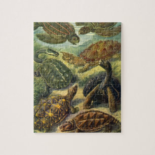 Sea Turtles Vintage Land Tortoise by Ernst Haeckel Jigsaw Puzzle