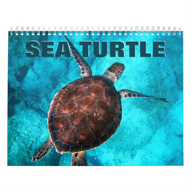 Sea Turtles Wall Calendar (Cover)