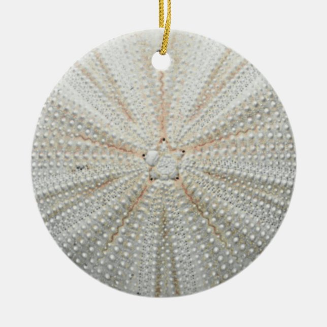 Sea Urchin Christmas Ornament (Front)