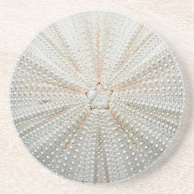Sea Urchin Coaster (Front)