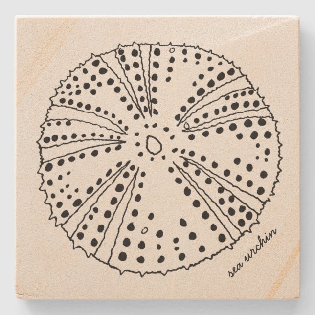 Sea Urchin Drawing Tropical Stone Coaster (Front)