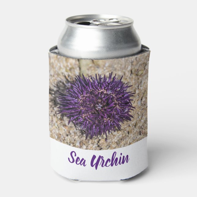 Sea Urchin Ocean Beach Holiday Summer Souvenir Can Cooler (Can Front)