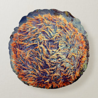 Sea Urchin Round Cushion